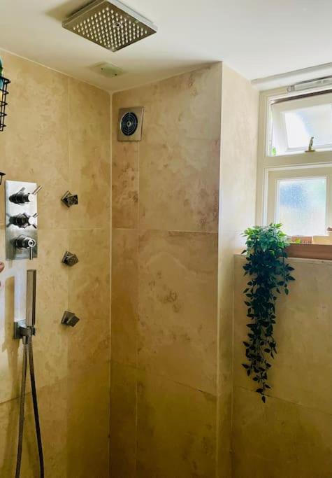 Grade II Boho Home In The Heart Of Oxford St. 사우샘프턴 외부 사진